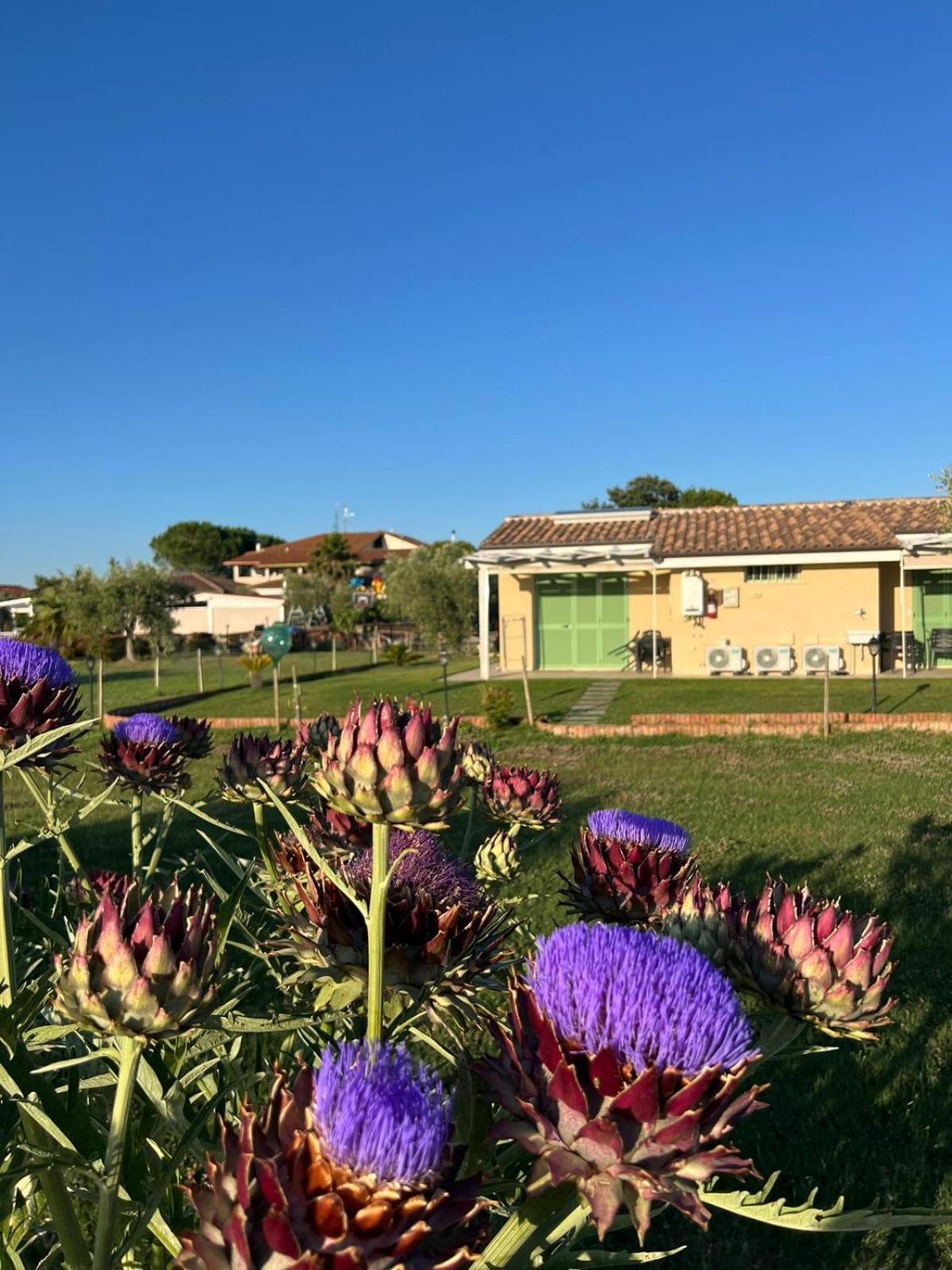 Il Giardino Di Nunzia Βίλα Principina Terra Εξωτερικό φωτογραφία